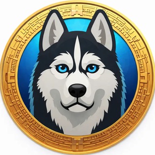 Telegram profile photo for Hexydog Access Portal