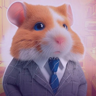 Telegram profile photo for **Airdrop X**ایردراپ ایکس