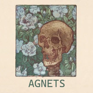 Telegram profile photo for AGNETS