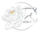 Telegram profile photo for МФКСС