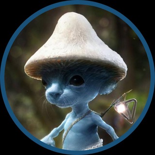 Telegram profile photo for Шайлушай Smurf Cat