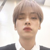 Telegram profile photo for 𝗦𝗧𝗘𝗙𝗙𝗜 𝗜𝗡𝗙𝗢