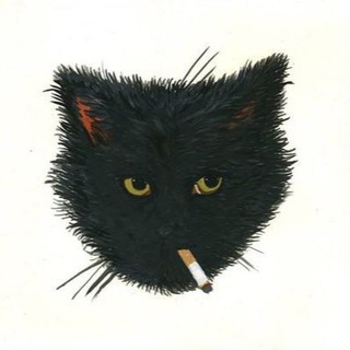 Telegram profile photo for radio saltycola
