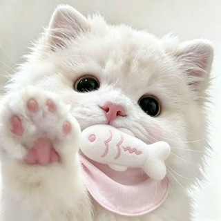 Telegram profile photo for 𝟺.𝟺𝟺 𝘤𝘢𝘵 ; 𝓛iteracy 𝘵𝘪𝘮𝘦.. 🐈💭