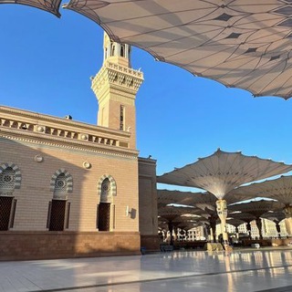 Telegram profile photo for قناة نوف المدينة🍃