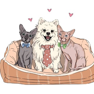 Telegram profile photo for Vibrant Amoeba🐈⬛️🐈🐕