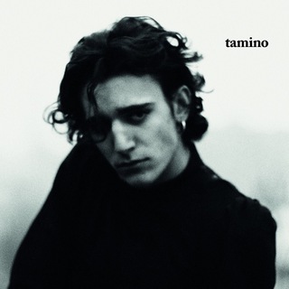 Telegram profile photo for Tamino
