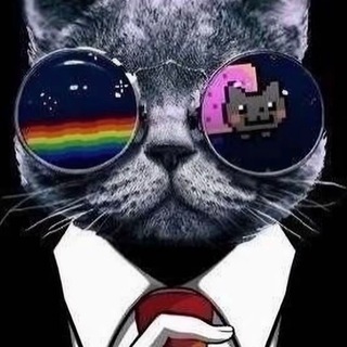 Telegram profile photo for sscience coss