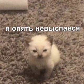 Telegram profile photo for ✨Джейн косплеит✨