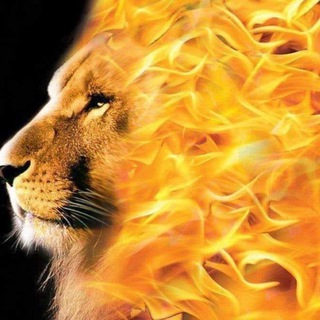 Telegram profile photo for GANNICUS kingdom of Power