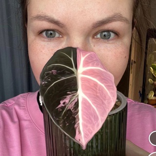 Telegram profile photo for Momsterra🌱Инвестируй в зелёное