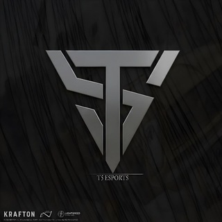 Telegram profile photo for 🏆 T5 Esports Agency