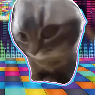 Telegram profile photo for $CHIPICHAPA ON SOLANA | LP BURNED