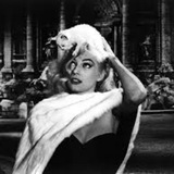 Telegram profile photo for Cats&Cinema