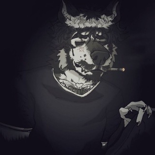 Telegram profile photo for The mutt$๐ฌ