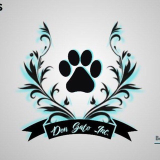 Telegram profile photo for Top Cat Support
