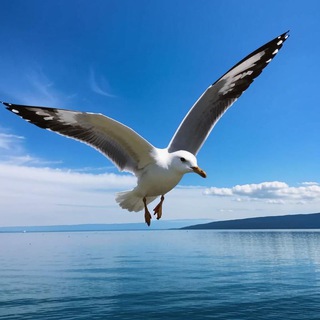 Telegram profile photo for slashka