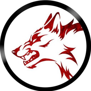 Telegram profile photo for Public stock