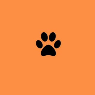 Telegram profile photo for Аудиокниги|Всё ради игры 🦊
