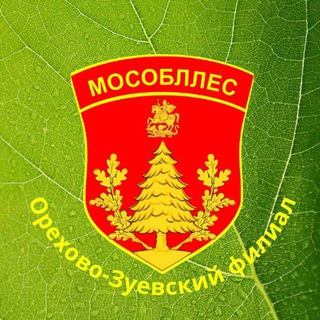 Telegram group profile photo for Орехово-Зуевское лесничество