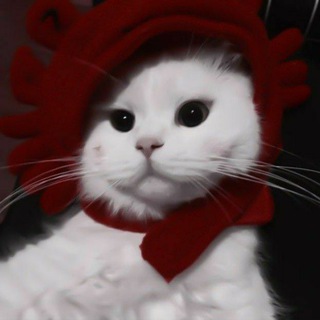 Telegram profile photo for 𝆺𝅥 𝆭 ₊ Символы&разделители ໒ ꒰ .