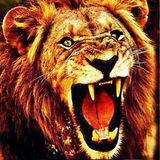 Telegram profile photo for SURJEET PANDEY (satta king)
