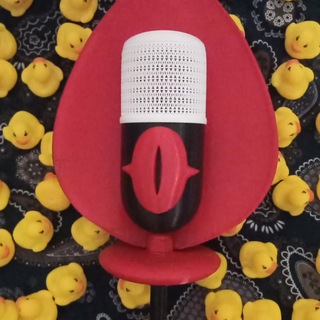 Telegram profile photo for Ducks, ducks everywhere 🦆