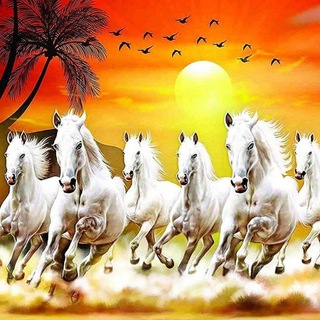 Telegram profile photo for CFA HORSE RACING LIVE
