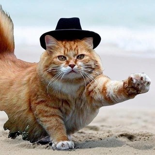 Telegram profile photo for MooreBot