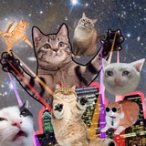 Telegram profile photo for Плюшевые попки 🐈 ❤️🐈