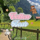 Telegram profile photo for Archive CottonBear