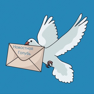 Telegram profile photo for Новостной Голубь | Волжский