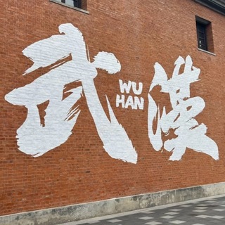 Telegram profile photo for 武汉技师点评