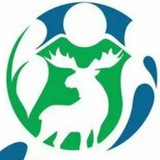 Telegram profile photo for 🇷🇺Всё о такси и нетолько🚗🇷🇺"