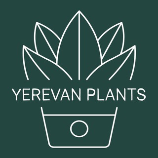 Telegram group profile photo for Цветочный Ереван 🪴 Yerevan Plants