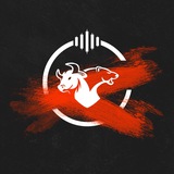 Telegram profile photo for CopyTrading.lk