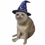 Telegram profile photo for wizcatcoinportal