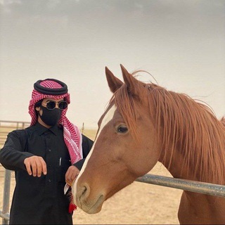 Telegram profile photo for ue.za