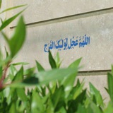 Telegram profile photo for فراشات المهدي✨💙
