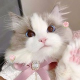 Telegram profile photo for moni | косметика
