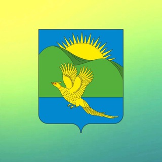 Telegram profile photo for Партизанский муниципальный округ