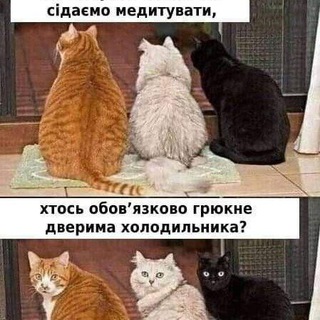 Telegram profile photo for Тут будуть котики. Та інше.
