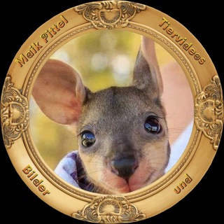 Telegram group profile photo for Tiervideos und Bilder