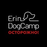 Telegram profile photo for ЧЕРНЫЕ ПЕРЕДЕРЖКИ
