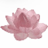 Telegram profile photo for ˚⊱🪷⊰˚