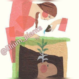 Telegram profile photo for لیلیوم مجله تخصصی گیاهان آپارتمانی🌿
