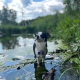 Telegram profile photo for Чих, но дверь...