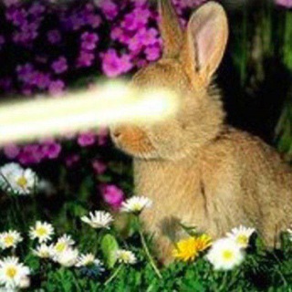 Telegram profile photo for ✶ magick bunny ✶