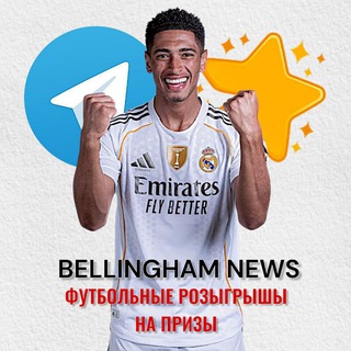 Telegram profile photo for Bellingham news