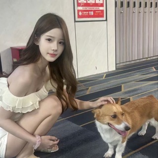Telegram profile photo for 山西太原修车交流群